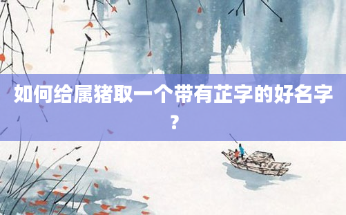 如何给属猪取一个带有芷字的好名字？