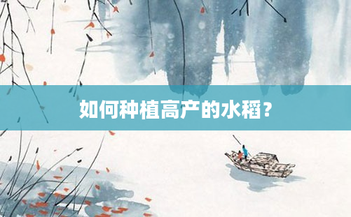 如何种植高产的水稻？