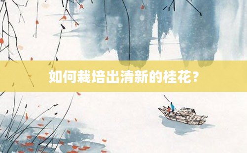 如何栽培出清新的桂花？