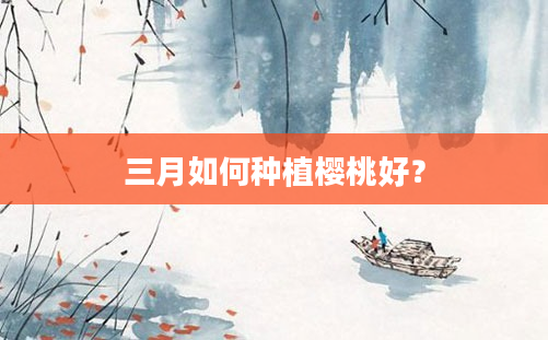 三月如何种植樱桃好？