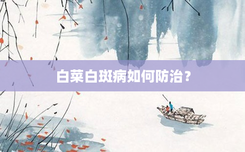 白菜白斑病如何防治？