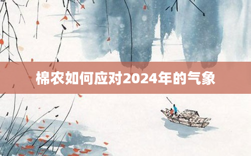 棉农如何应对2024年的气象