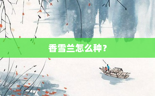 香雪兰怎么种？