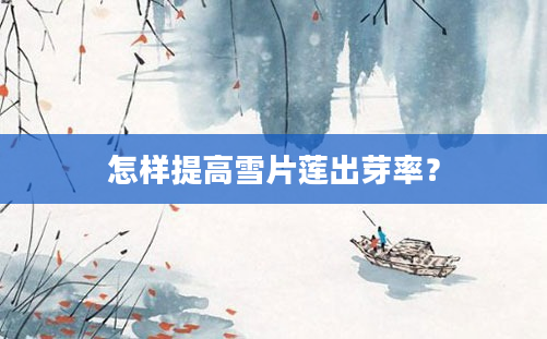 怎样提高雪片莲出芽率？