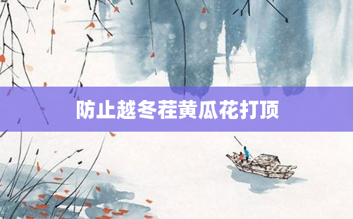 防止越冬茬黄瓜花打顶